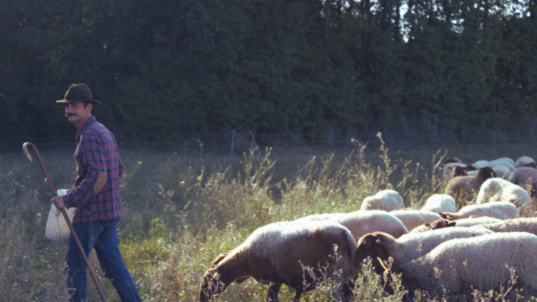 pastoralisme